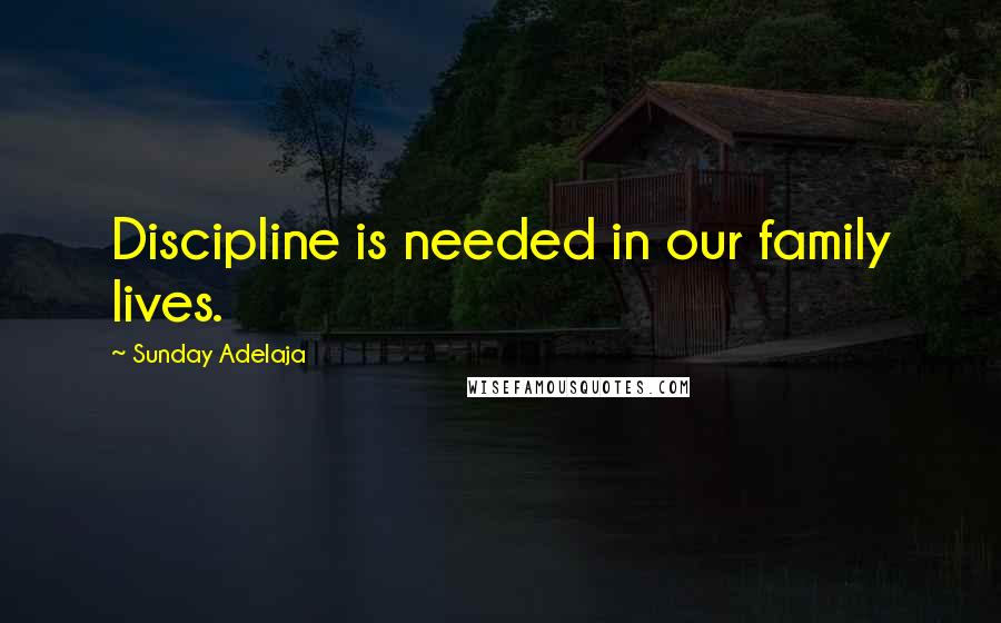 Sunday Adelaja Quotes: Discipline is needed in our family lives.