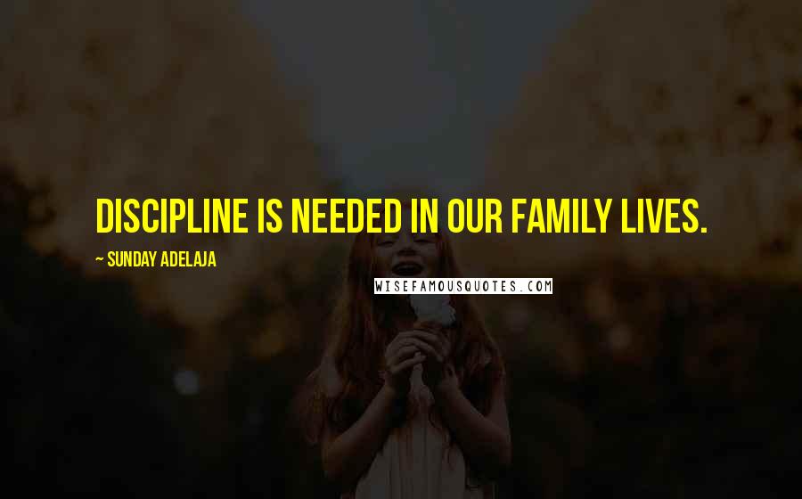 Sunday Adelaja Quotes: Discipline is needed in our family lives.