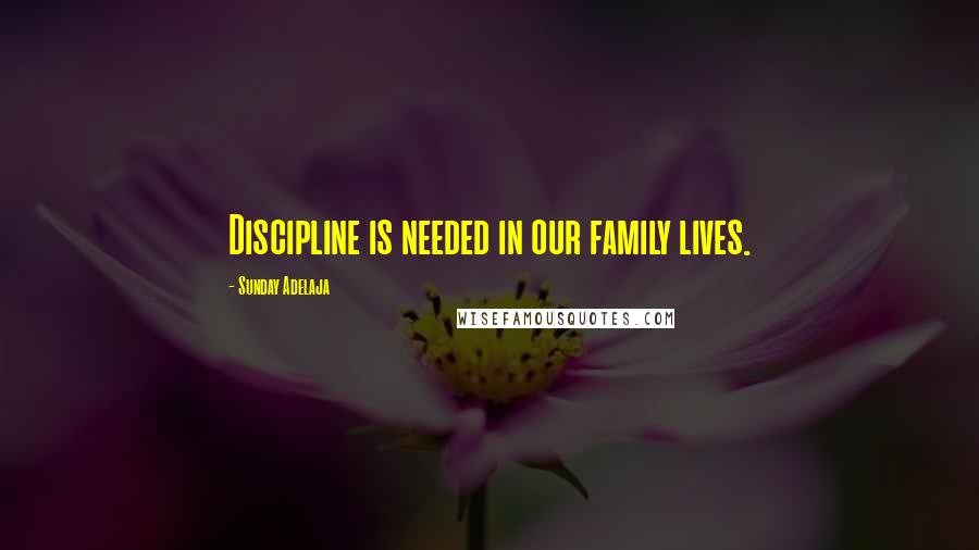 Sunday Adelaja Quotes: Discipline is needed in our family lives.