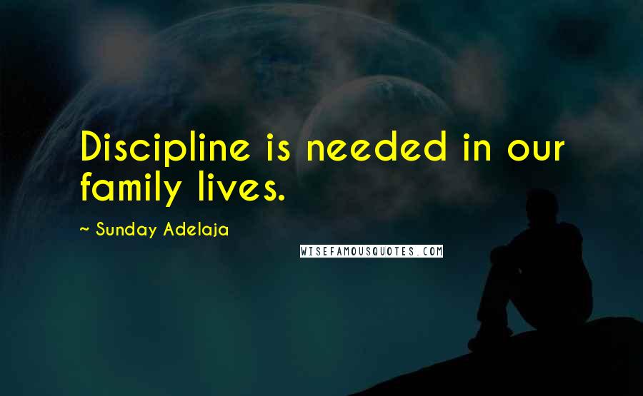 Sunday Adelaja Quotes: Discipline is needed in our family lives.