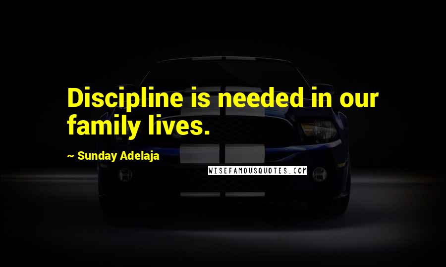 Sunday Adelaja Quotes: Discipline is needed in our family lives.