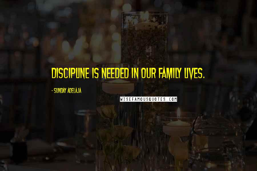 Sunday Adelaja Quotes: Discipline is needed in our family lives.