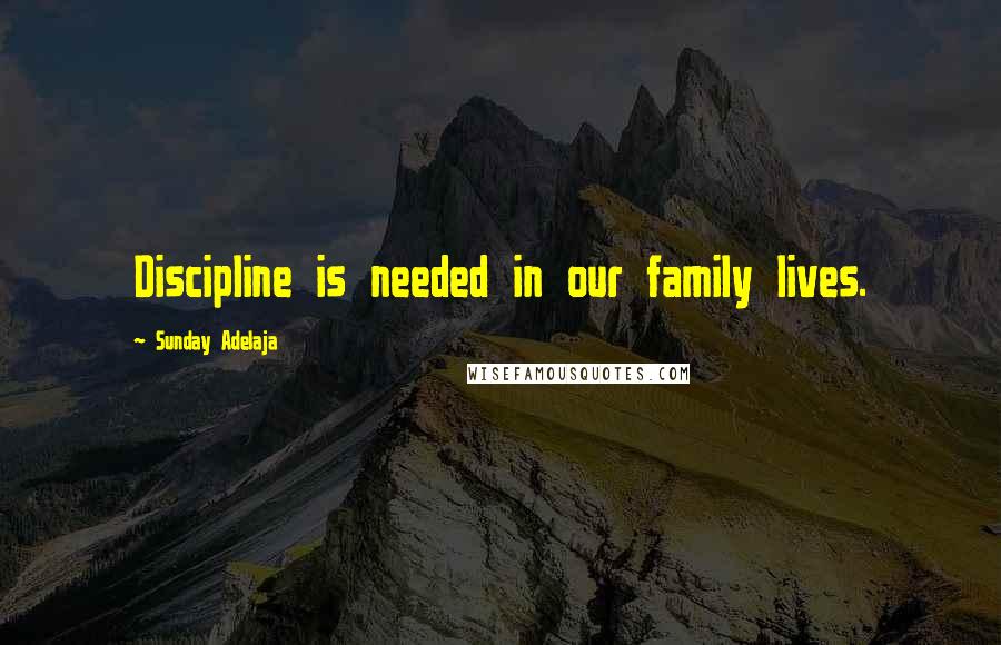 Sunday Adelaja Quotes: Discipline is needed in our family lives.