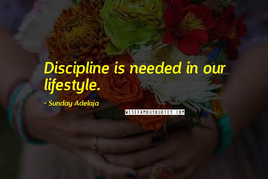 Sunday Adelaja Quotes: Discipline is needed in our lifestyle.