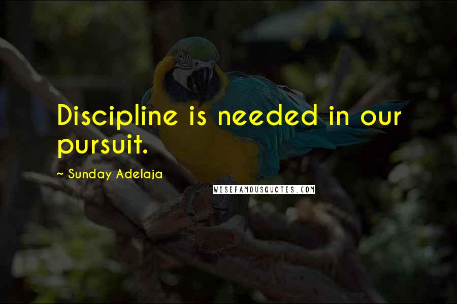 Sunday Adelaja Quotes: Discipline is needed in our pursuit.