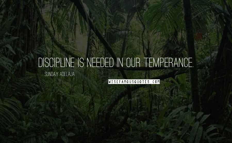 Sunday Adelaja Quotes: Discipline is needed in our temperance.