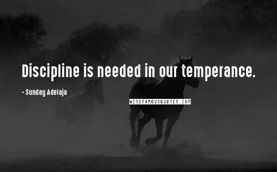 Sunday Adelaja Quotes: Discipline is needed in our temperance.