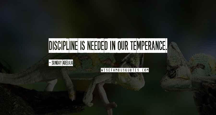 Sunday Adelaja Quotes: Discipline is needed in our temperance.