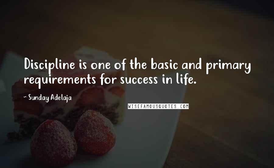 Sunday Adelaja Quotes: Discipline is one of the basic and primary requirements for success in life.