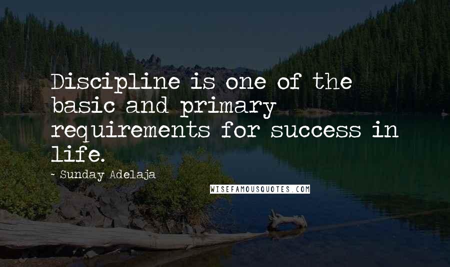 Sunday Adelaja Quotes: Discipline is one of the basic and primary requirements for success in life.