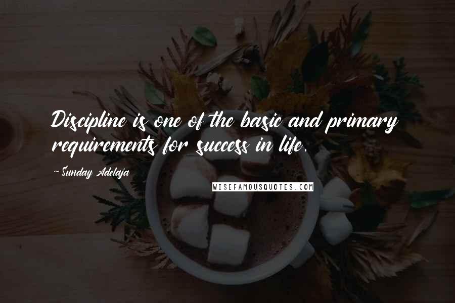 Sunday Adelaja Quotes: Discipline is one of the basic and primary requirements for success in life.