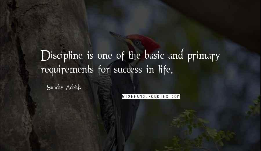 Sunday Adelaja Quotes: Discipline is one of the basic and primary requirements for success in life.