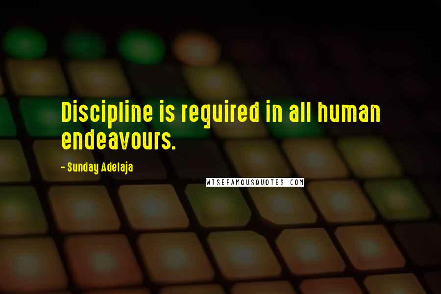 Sunday Adelaja Quotes: Discipline is required in all human endeavours.