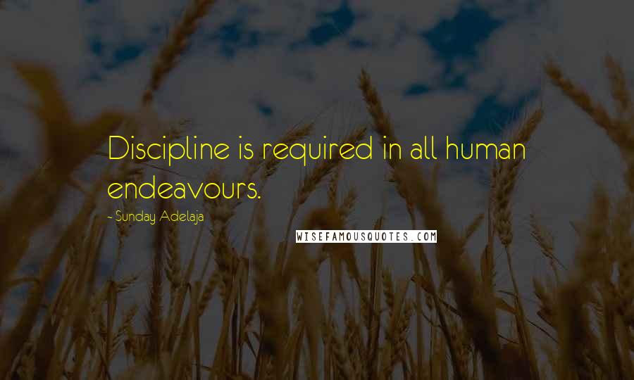 Sunday Adelaja Quotes: Discipline is required in all human endeavours.