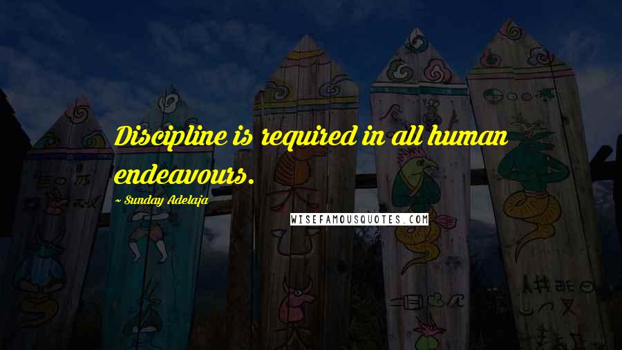 Sunday Adelaja Quotes: Discipline is required in all human endeavours.