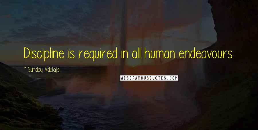 Sunday Adelaja Quotes: Discipline is required in all human endeavours.