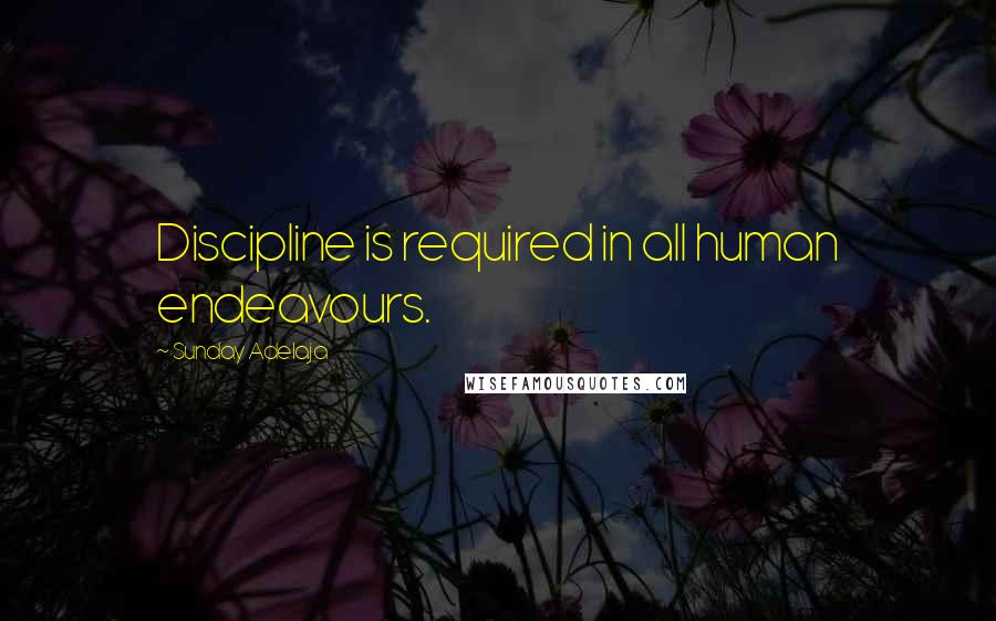 Sunday Adelaja Quotes: Discipline is required in all human endeavours.