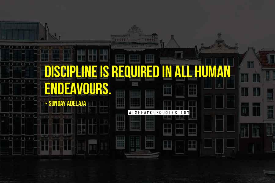 Sunday Adelaja Quotes: Discipline is required in all human endeavours.