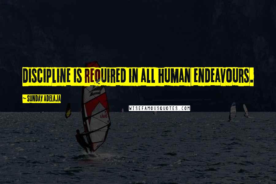 Sunday Adelaja Quotes: Discipline is required in all human endeavours.