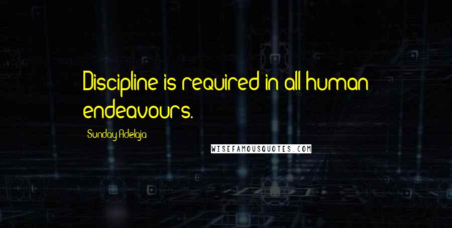 Sunday Adelaja Quotes: Discipline is required in all human endeavours.