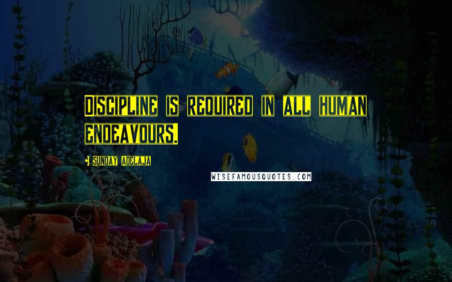 Sunday Adelaja Quotes: Discipline is required in all human endeavours.