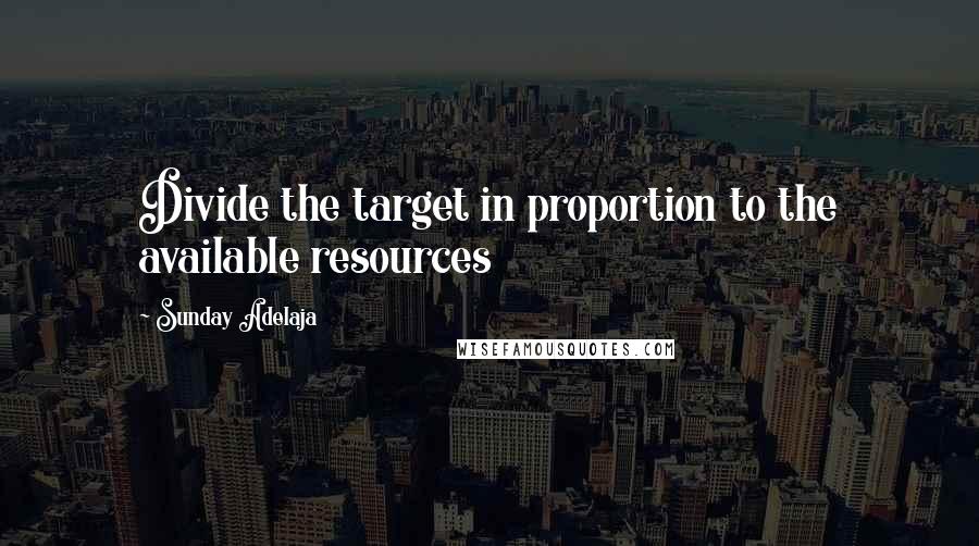 Sunday Adelaja Quotes: Divide the target in proportion to the available resources