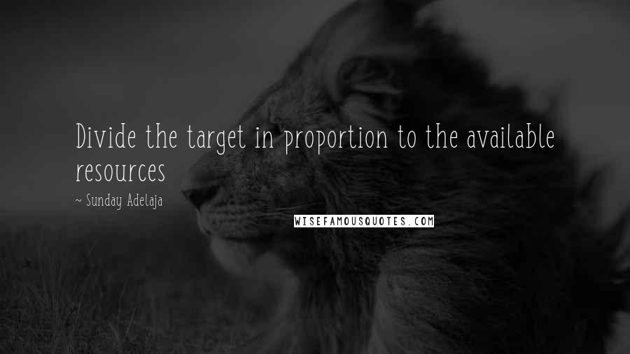 Sunday Adelaja Quotes: Divide the target in proportion to the available resources