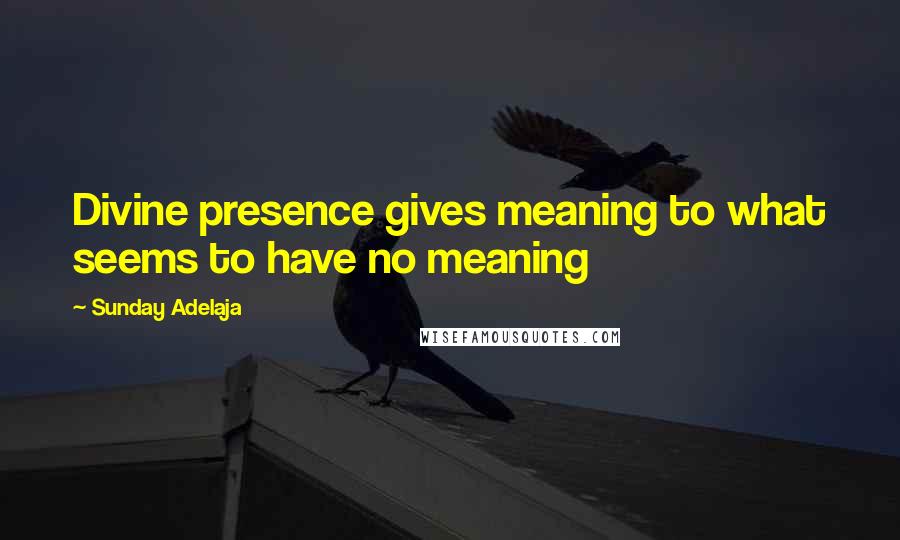 Sunday Adelaja Quotes: Divine presence gives meaning to what seems to have no meaning