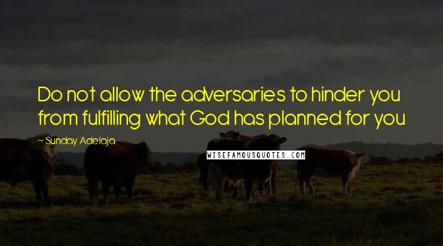 Sunday Adelaja Quotes: Do not allow the adversaries to hinder you from fulfilling what God has planned for you