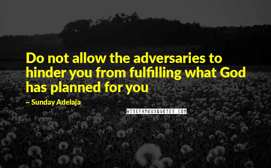 Sunday Adelaja Quotes: Do not allow the adversaries to hinder you from fulfilling what God has planned for you
