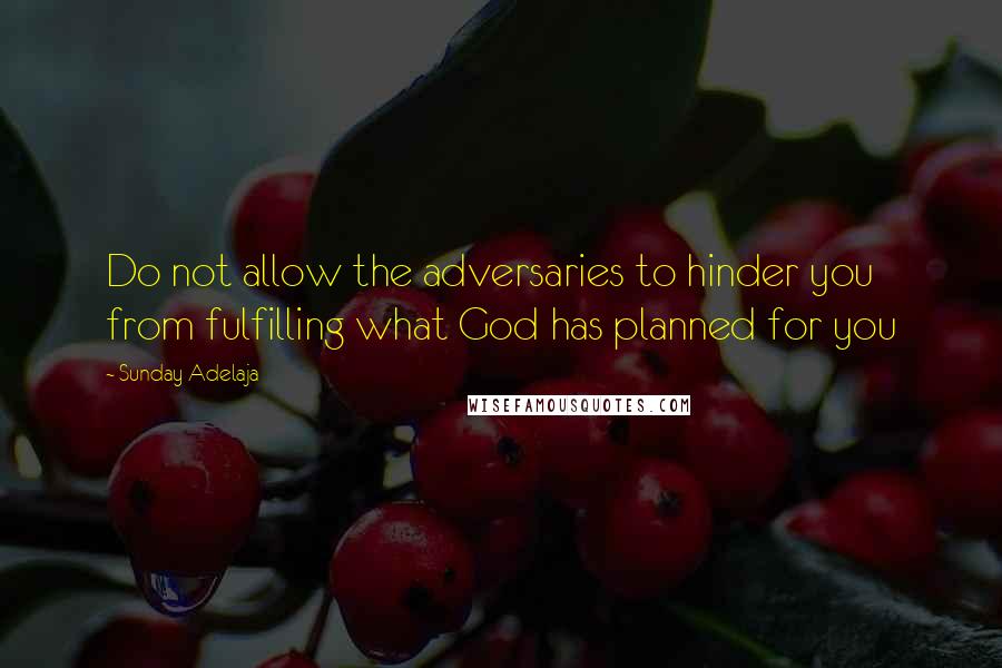 Sunday Adelaja Quotes: Do not allow the adversaries to hinder you from fulfilling what God has planned for you