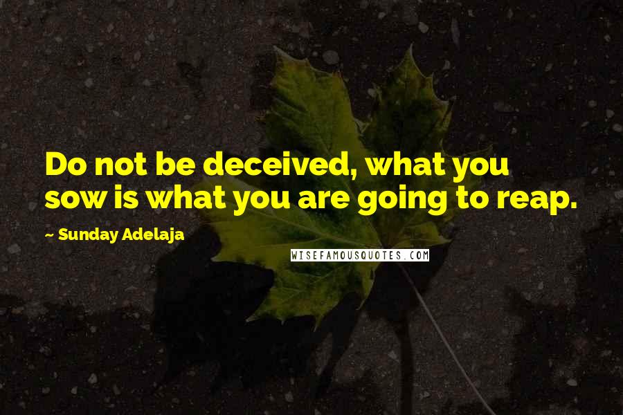 Sunday Adelaja Quotes: Do not be deceived, what you sow is what you are going to reap.