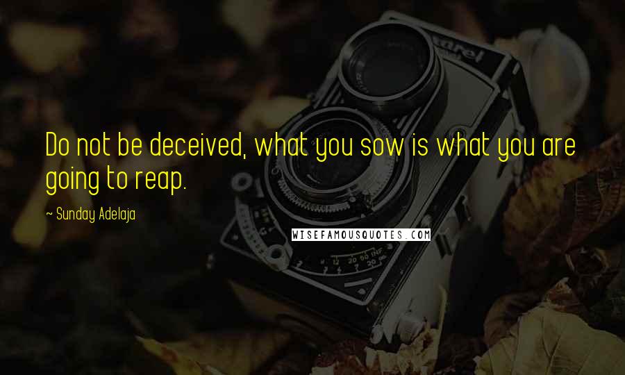 Sunday Adelaja Quotes: Do not be deceived, what you sow is what you are going to reap.