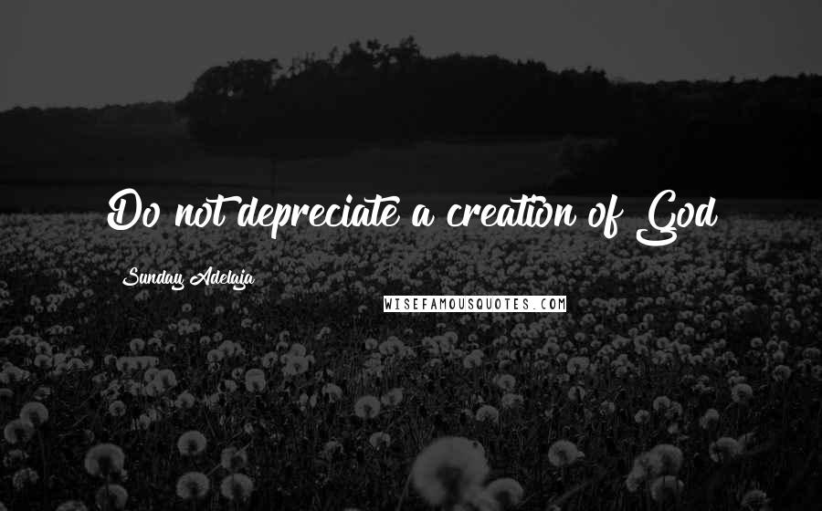 Sunday Adelaja Quotes: Do not depreciate a creation of God