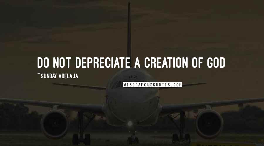 Sunday Adelaja Quotes: Do not depreciate a creation of God