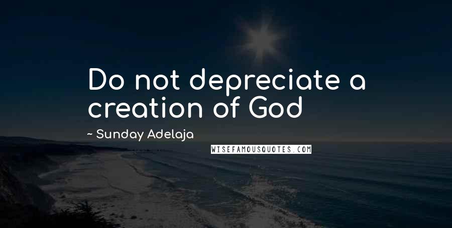 Sunday Adelaja Quotes: Do not depreciate a creation of God