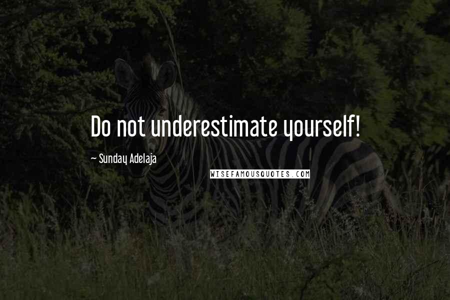 Sunday Adelaja Quotes: Do not underestimate yourself!