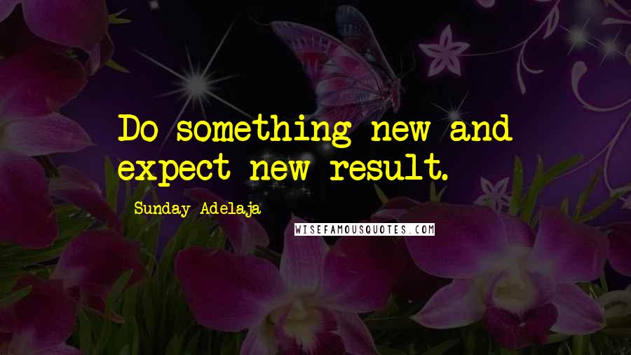 Sunday Adelaja Quotes: Do something new and expect new result.