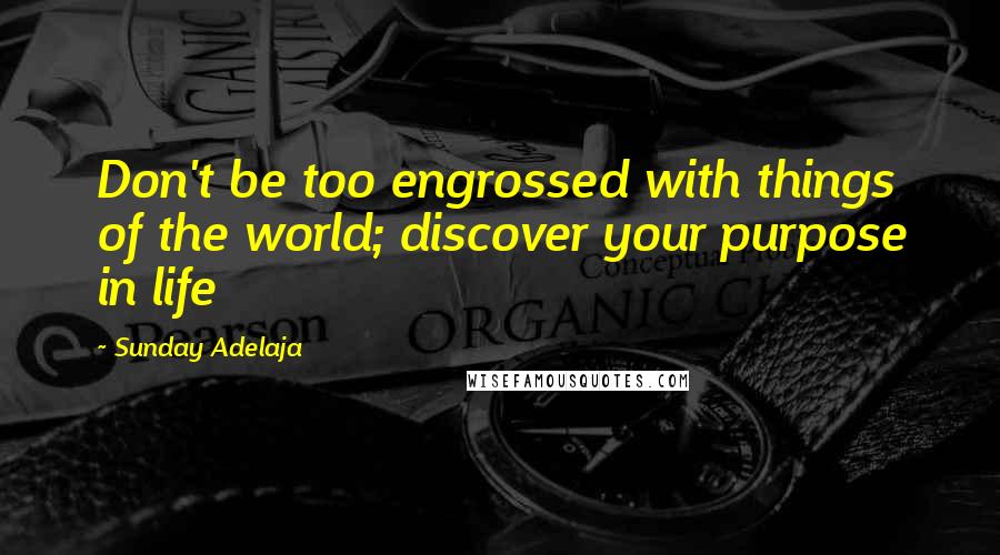 Sunday Adelaja Quotes: Don't be too engrossed with things of the world; discover your purpose in life