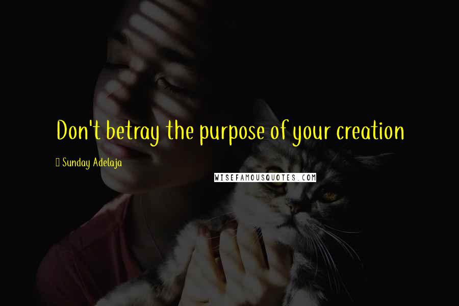 Sunday Adelaja Quotes: Don't betray the purpose of your creation