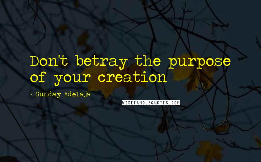 Sunday Adelaja Quotes: Don't betray the purpose of your creation