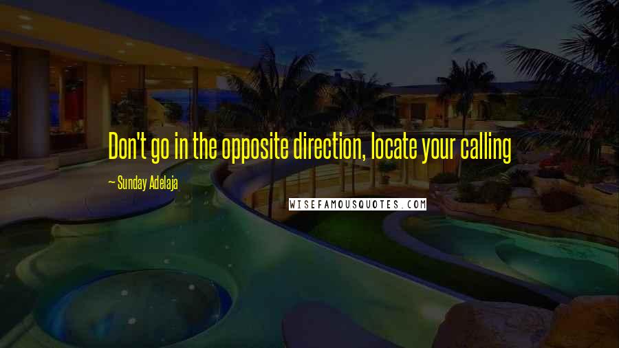 Sunday Adelaja Quotes: Don't go in the opposite direction, locate your calling