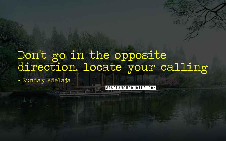 Sunday Adelaja Quotes: Don't go in the opposite direction, locate your calling