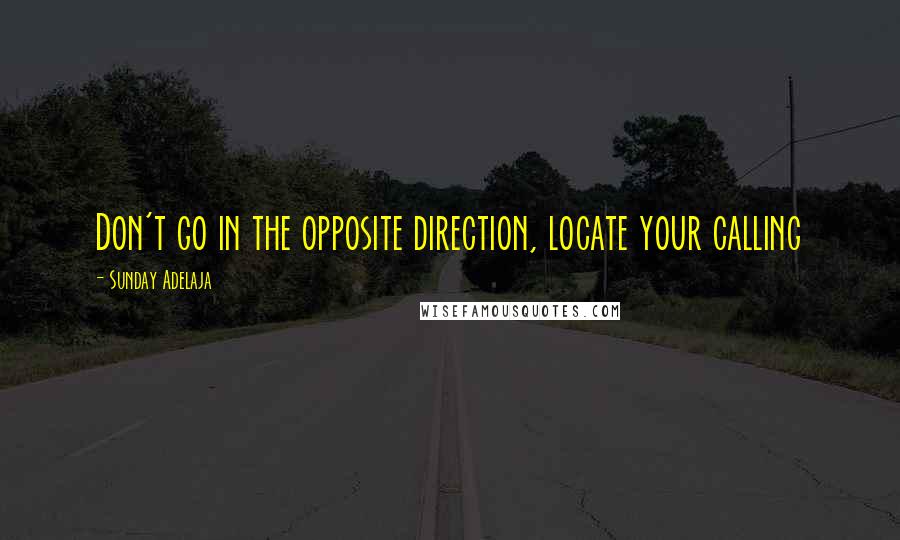 Sunday Adelaja Quotes: Don't go in the opposite direction, locate your calling