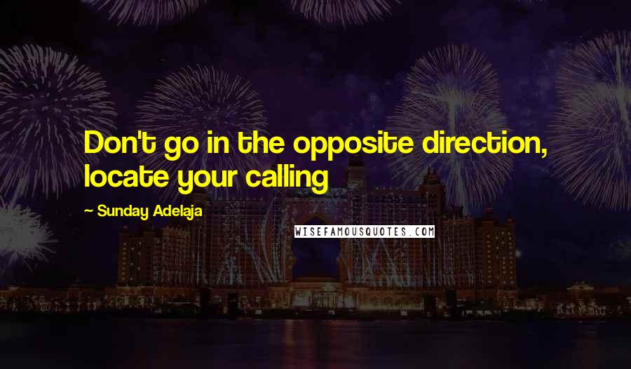 Sunday Adelaja Quotes: Don't go in the opposite direction, locate your calling