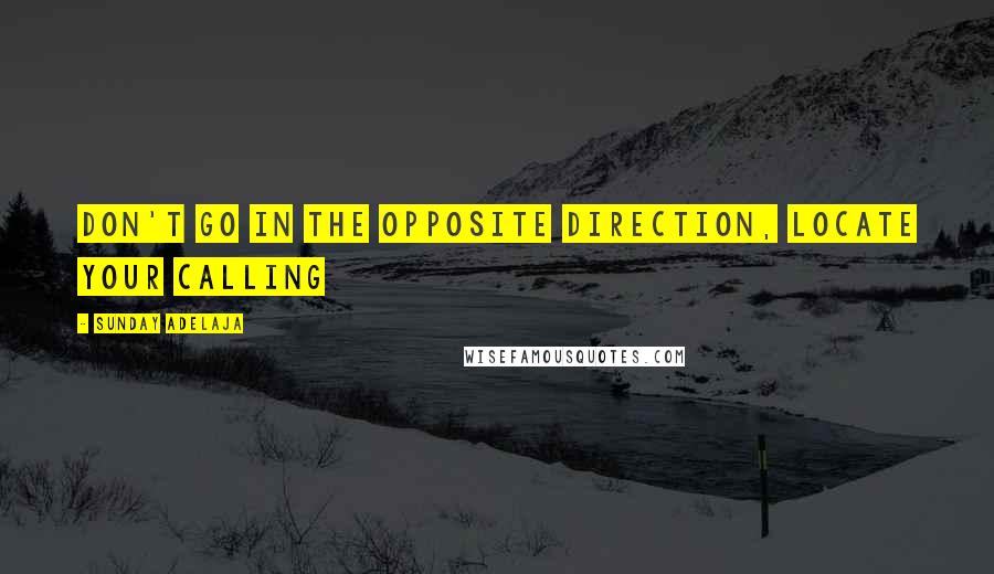 Sunday Adelaja Quotes: Don't go in the opposite direction, locate your calling