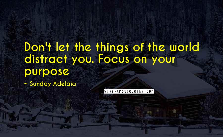Sunday Adelaja Quotes: Don't let the things of the world distract you. Focus on your purpose