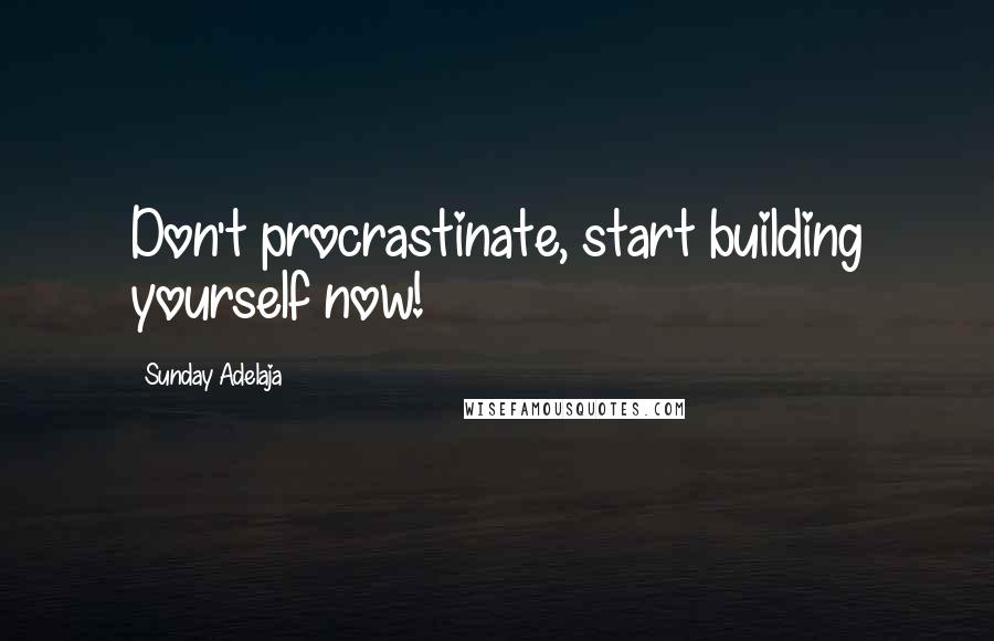 Sunday Adelaja Quotes: Don't procrastinate, start building yourself now!