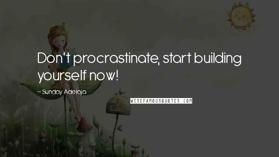 Sunday Adelaja Quotes: Don't procrastinate, start building yourself now!