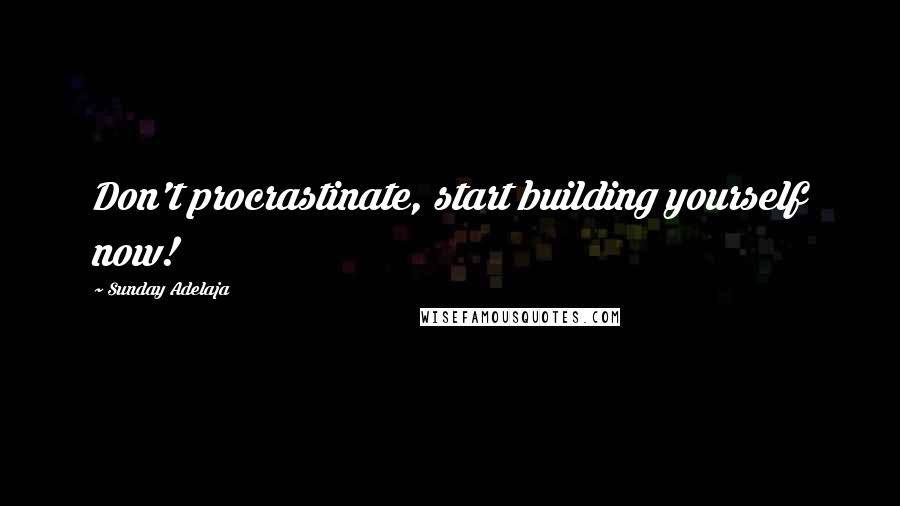 Sunday Adelaja Quotes: Don't procrastinate, start building yourself now!